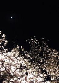 最强机甲制造师