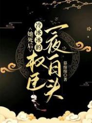 都市之战婿归来