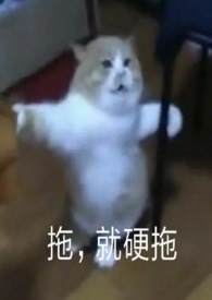 �����á���ħ�ɳ��ռǣ�np��