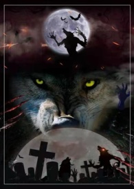 �˰����飨H,NP��