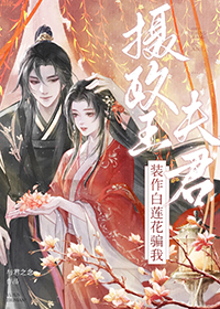 ���������װ��������ƭ��