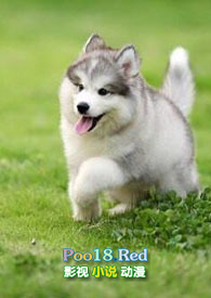 ����С�̹�֮������H��