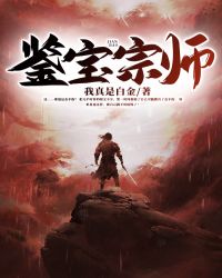 ������ʦ