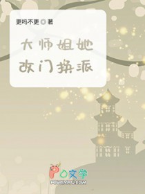 ��ʦ�������Ż���