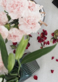 ����Ӷ�ƪ�ϼ�